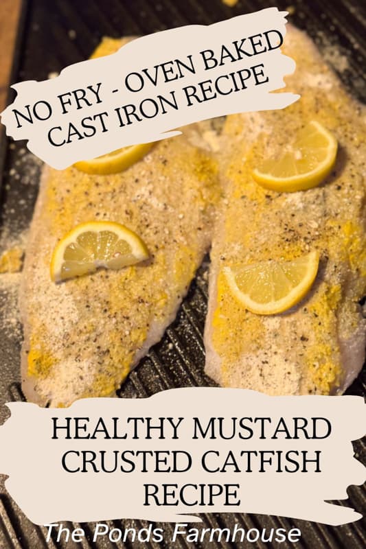 Healthy Mustard Crusted Catfish Recipe: Oven Baked on a Cast Iron Griddle