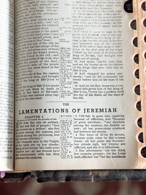 the book of Lamentations in bible