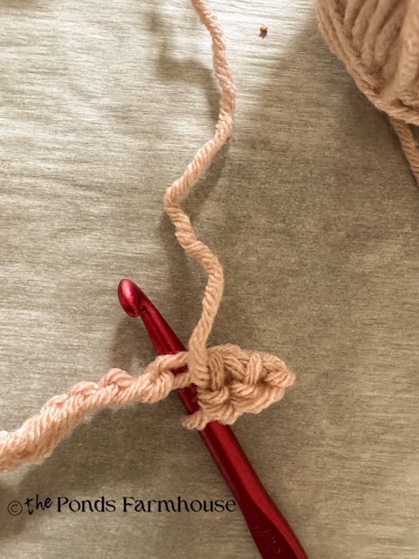 single crochet for 9 stitches to begin crochet scraf