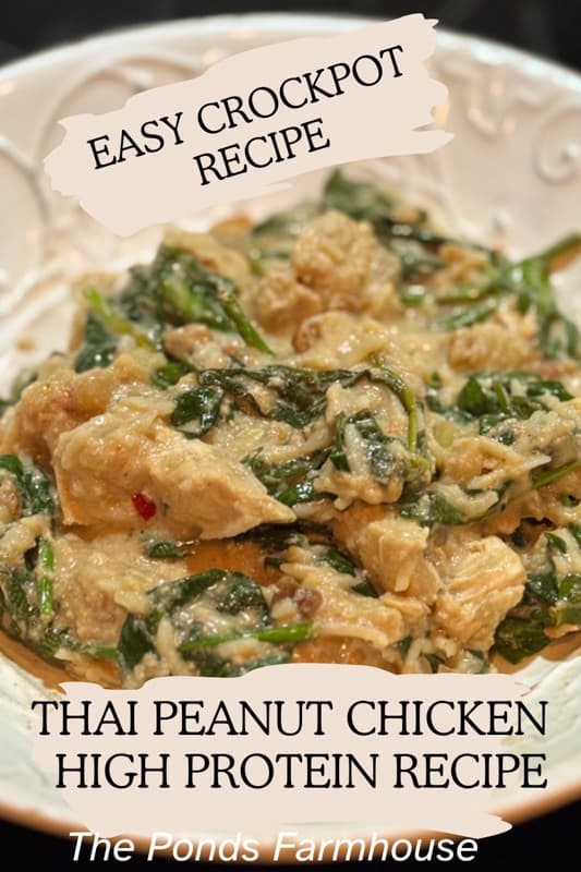 Thai Peanut Chicken Recipe High Protein Easy Crockpot Recipe