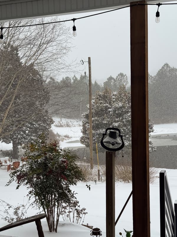 Snow at the Ponds with antique bell and magnolia trees