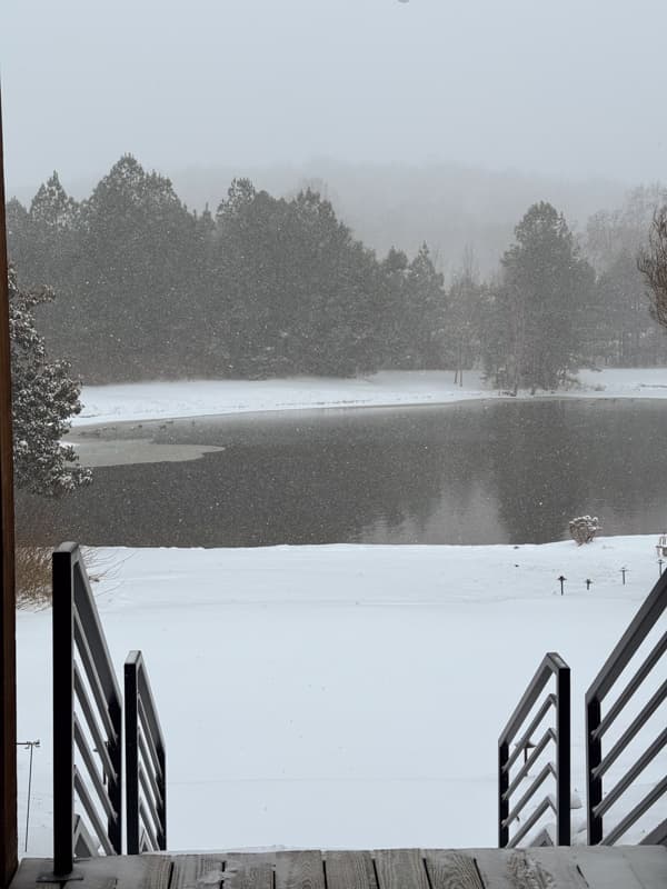 Snow at The Ponds from porch.