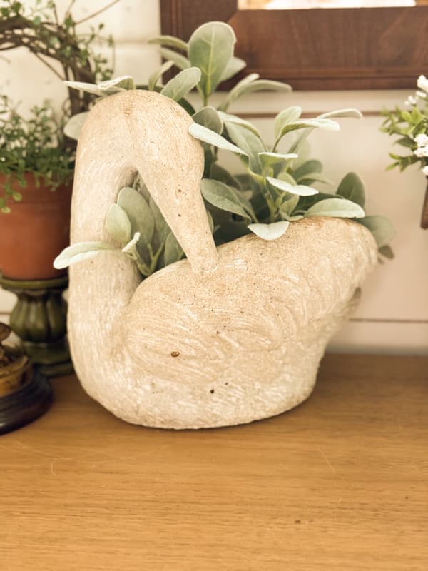 swan concrete planter with lamb ear plant