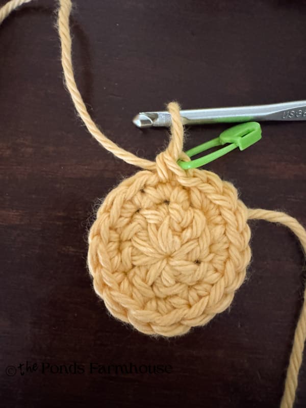 round 2 completed for Crochet Daisy Center