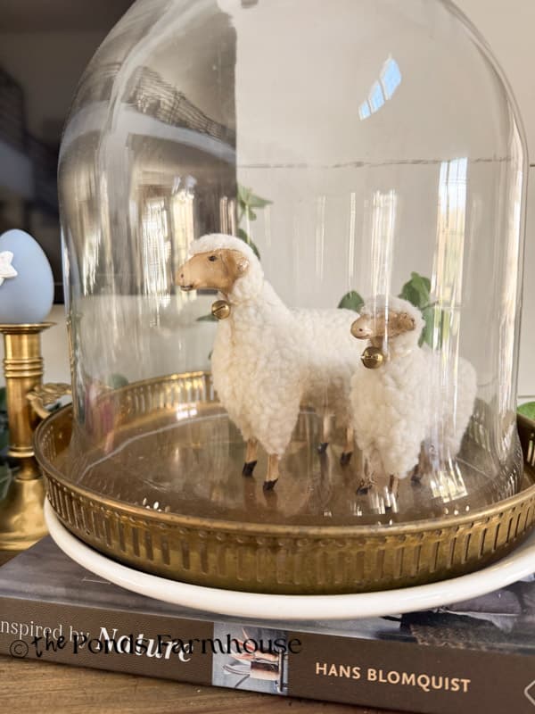 two lambs under glass cloche on a brass tray 