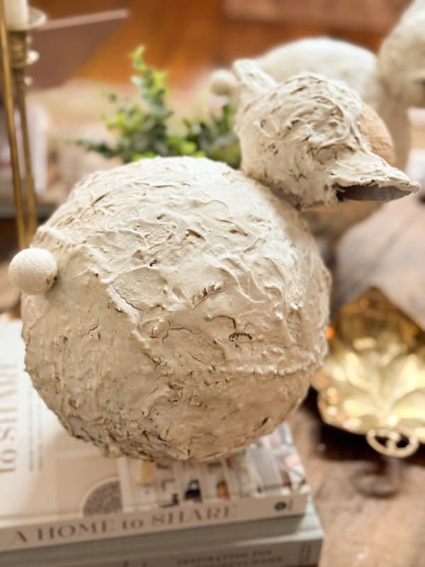 close up of fat textured lamb with felt wool tail.  