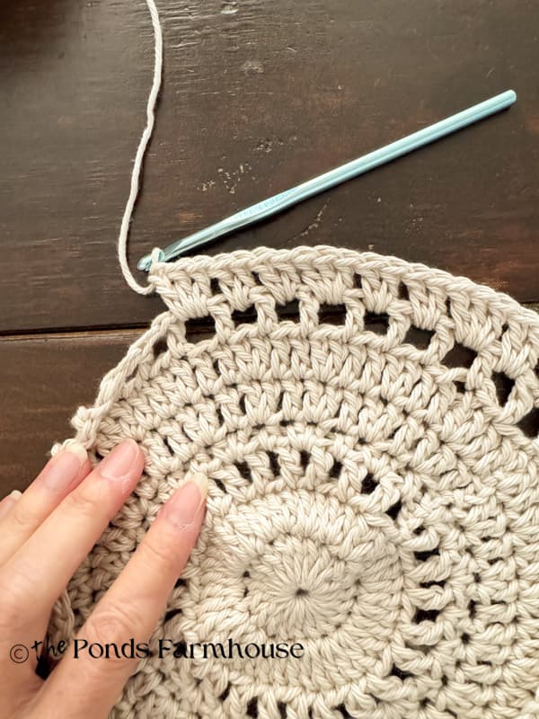 2dc, 2dc, 3dc in each spac e