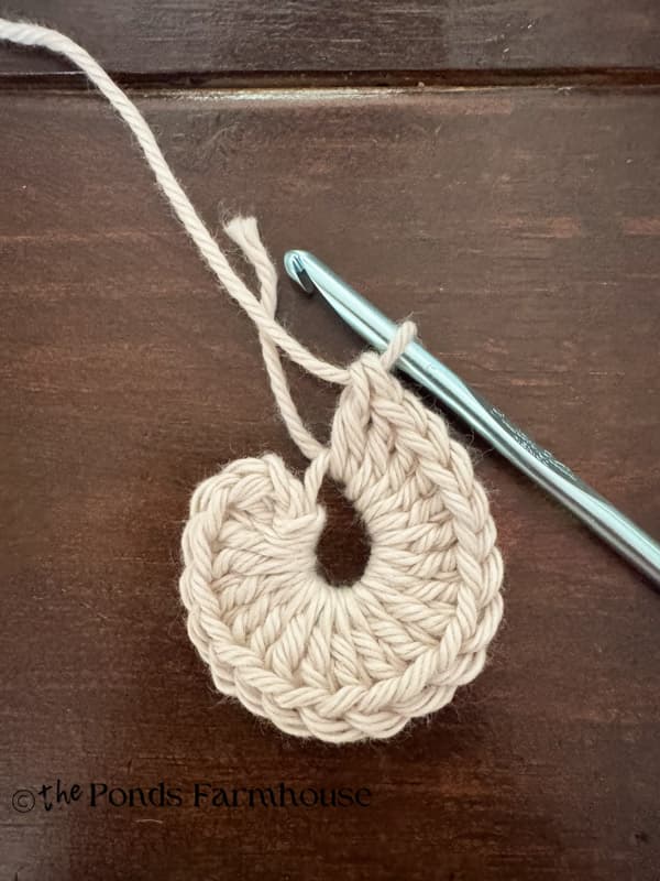 Magic Loop with 20 double crochets to form center of the round placemat