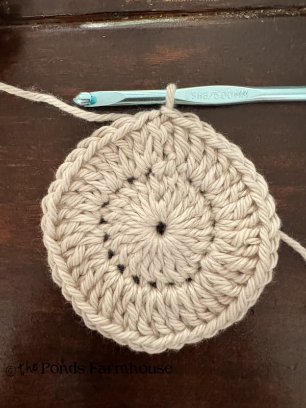 add 2 double crochets to each stitch for round 2 