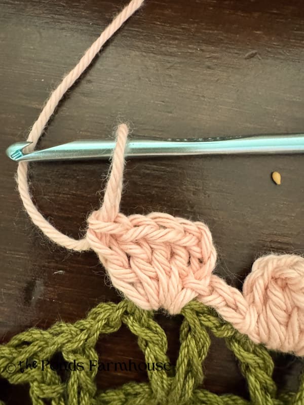 add 4 double crochets to the same space and loosen last loop