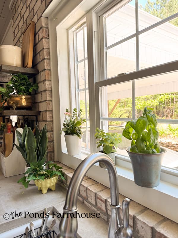  farmhouse  kitchen windowsill  filled with plant and herbs