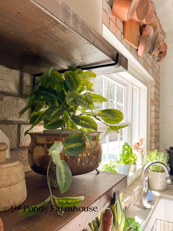 open kitchen shelving with pothos plant in thrifted brass container for farmhouse decorating