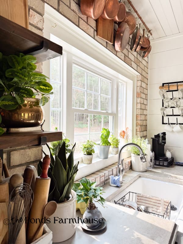 snake plant, pothos plant and rolling pins nestled together for cozy modern heritage kitchen