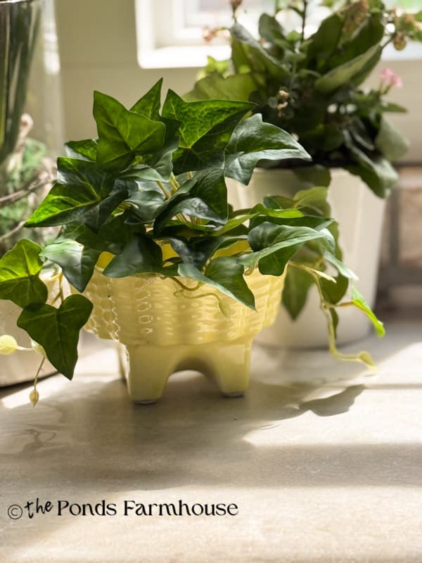 Vintage yellow planter with ivy on kitchen countertop