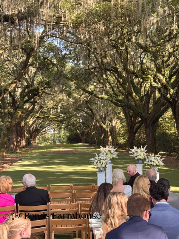 Beautiful backdrop for wedding at Legare Waring House, Charleston, SC