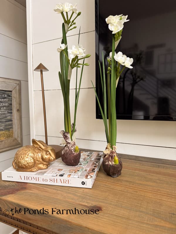 summer mantel with paperwhite bulbs and gold bunny
