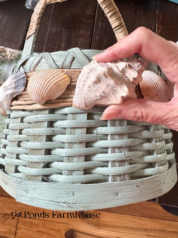 hold the shells in place until the glue dries