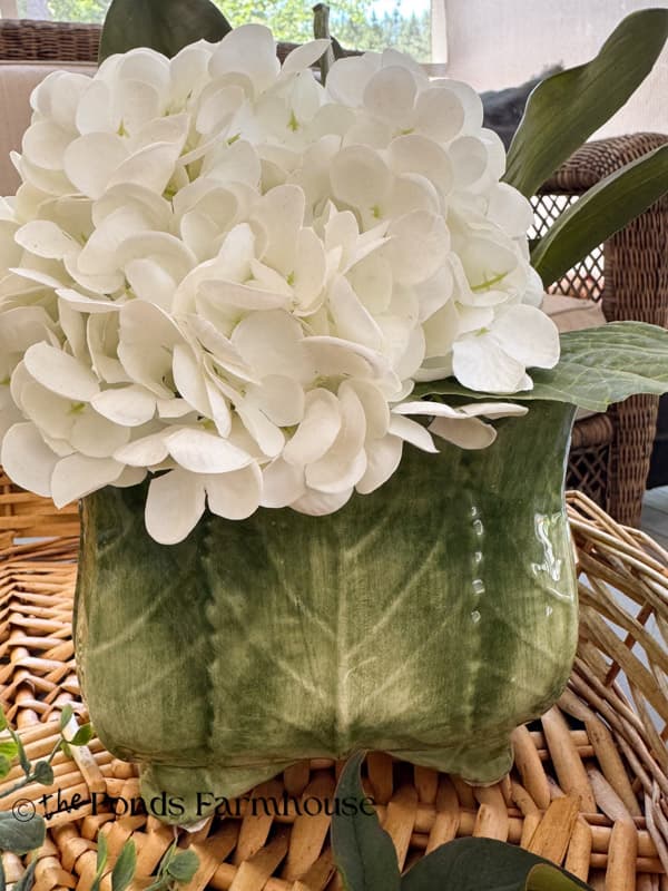 lettuce leaf planter with single white hydrangea bloom