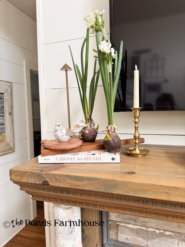 Moderately decorated Summer Mantel 