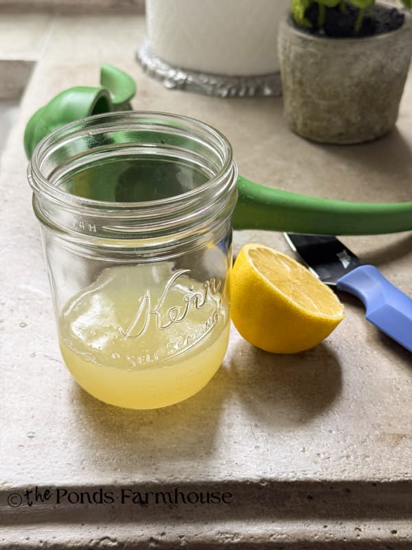 Homemade Lemon Vinaigrette Dressing recipe