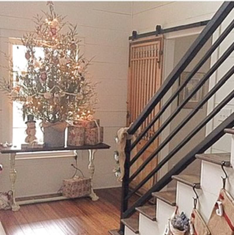 live cedar Christmas tree 2017