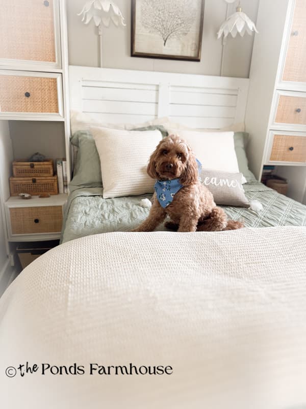 beach cottage bedding from levtex home