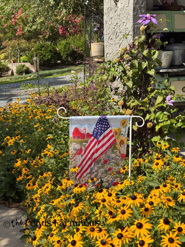 black-eyed susans in bloom at The Ponds Farmhouse Outdoor Kitchen