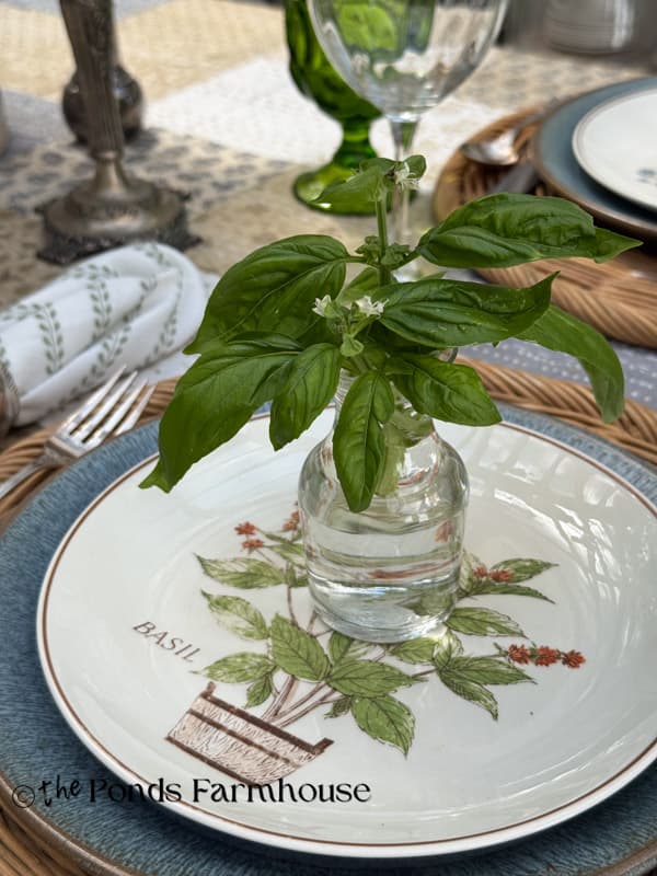 vase of basil on basil plates for Summer Tablescape.