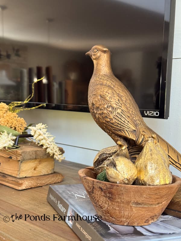 close up of gold pheasant with wooden bowl of gold figs