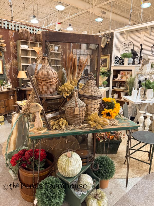 demi johns displayed with mums and pumpkins