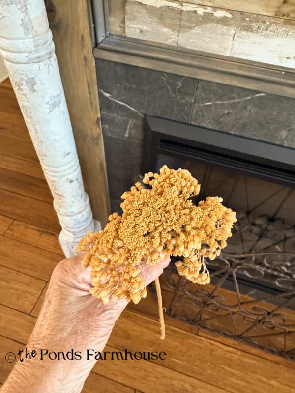small dried yarrow stem
