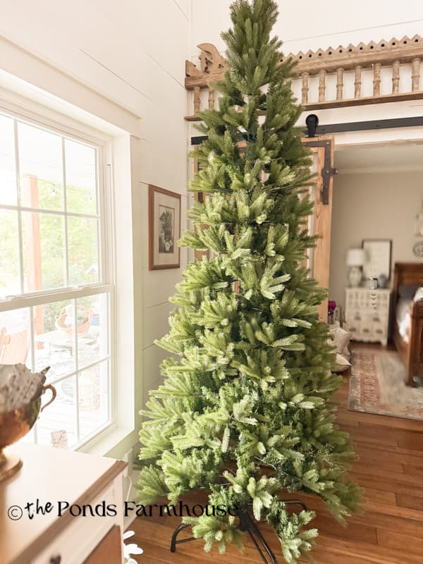 King of Christmas Tree just out of the box before fluffing the branches