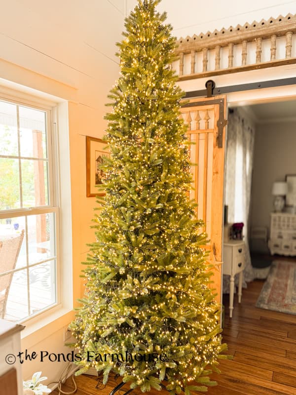 King of Christmas Tree with cluster lights.