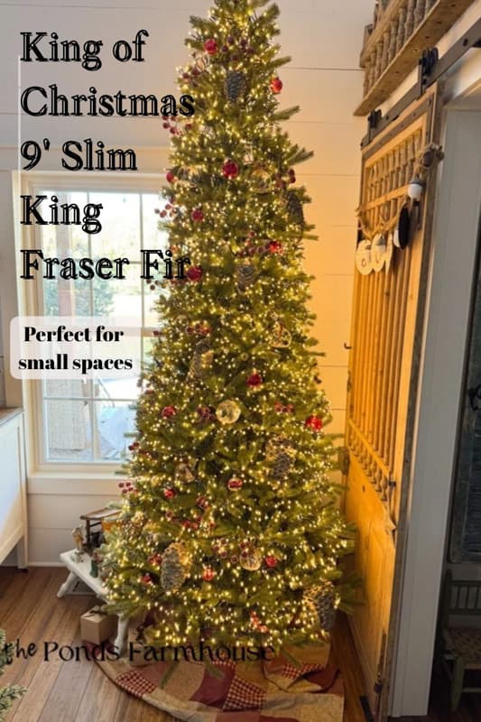 king of Christmas 9' Slim Fraser Fir