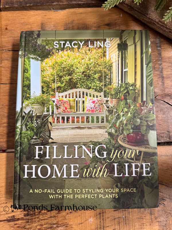 Stacy's new book