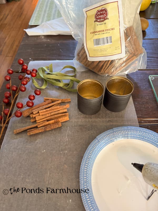Supplies for DIY Cinnamon Stick Tea light candleholder with recycled tin cans