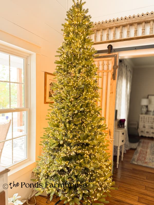 Christmas tree with lights
